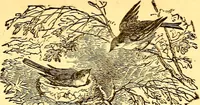 An illustration from Mamie's watchword (1872)
