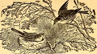 An illustration from Mamie's watchword (1872)