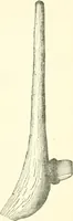 An illustration from Man before metals (1902)