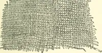 An illustration from Man before metals (1902)