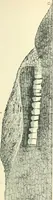 An illustration from Man before metals (1902)