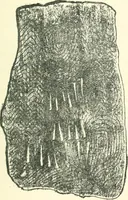 An illustration from Man before metals (1902)