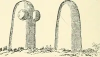 Picture 42 of 98 from Man before metals (1902), leaf 171