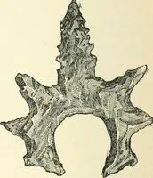 An illustration from Man before metals (1902)