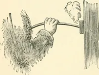 An illustration from Man before metals (1902)