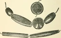 An illustration from Man before metals (1902)
