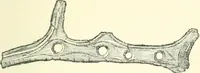 An illustration from Man before metals (1902)