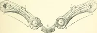 An illustration from Man before metals (1902)