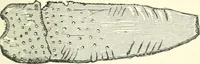 An illustration from Man before metals (1902)