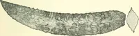 An illustration from Man before metals (1902)