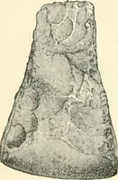 Picture 70 of 98 from Man before metals (1902), leaf 251