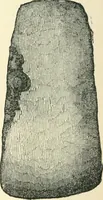 An illustration from Man before metals (1902)
