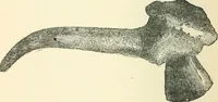 An illustration from Man before metals (1902)