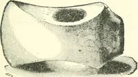 An illustration from Man before metals (1902)