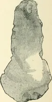 An illustration from Man before metals (1902)
