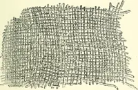 An illustration from Man before metals (1902)