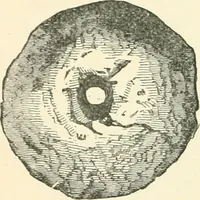 An illustration from Man before metals (1902)