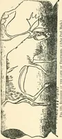 An illustration from Man before metals (1902)
