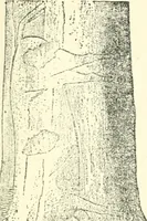 An illustration from Man before metals (1902)