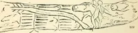 An illustration from Man before metals (1902)
