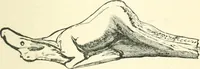 An illustration from Man before metals (1902)