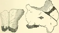An illustration from Man before metals (1902)