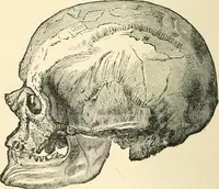 An illustration from Man before metals (1902)