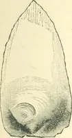 An illustration from Man before metals (1902)