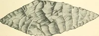 Picture 5 of 98 from Man before metals (1902), leaf 38