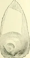 An illustration from Man before metals (1902)