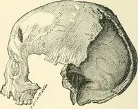 An illustration from Man before metals (1902)