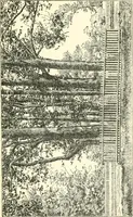 An illustration from Manhattan: historic and artistic; a six day tour of New York city; (1892)