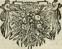 An illustration from Maniere de fortifier de Mr. de Vauban : où l'on voit de quelle méthode on se sert aujourd'hui en France, pour la fortification des places tant régulieres qu'irréguliers : en quoi cette méthode differe des autres, &c. : avec un traité de geometrie qu'on a mis à la tête, pour avoir une parfaite intelligence des fortifications (1689)