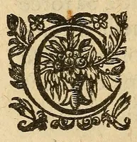 Picture 2 of 2 from Manifeste de ce qui se passa dernierement aux Estats generaux, entre le clerge & le Tiers Estat : Congregamini super montes Samariae, et videte insanias multas in medio eius, & calumniam patientes in penetralibus eius. Amos. 3 (1615), leaf 14