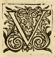 An illustration from Manifeste de ce qui se passa dernierement aux Estats generaux, entre le clerge & le Tiers Estat : Congregamini super montes Samariae, et videte insanias multas in medio eius, & calumniam patientes in penetralibus eius. Amos. 3 (1615)