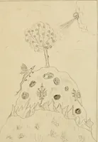 Picture 7 of 23 from Manly Palmer Hall collection of alchemical manuscripts, 1500-1825 (1600), leaf 46
