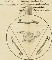 An illustration from Manly Palmer Hall collection of alchemical manuscripts, 1500-1825 (1600)