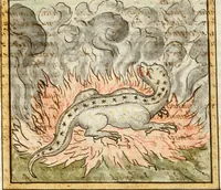 An illustration from Manly Palmer Hall collection of alchemical manuscripts, 1500-1825 (1600)