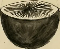An illustration from Manly Palmer Hall collection of alchemical manuscripts, 1500-1825 (1600)