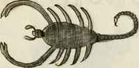 An illustration from Manly Palmer Hall collection of alchemical manuscripts, 1500-1825 (1600)