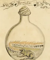 Picture 23 of 61 from Manly Palmer Hall collection of alchemical manuscripts, 1500-1825 (1600), leaf 74