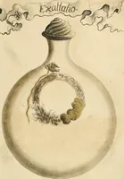 An illustration from Manly Palmer Hall collection of alchemical manuscripts, 1500-1825 (1600)