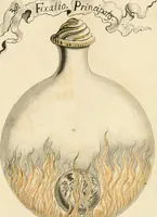 Picture 9 of 50 from Manly Palmer Hall collection of alchemical manuscripts, 1500-1825 (1600), leaf 11