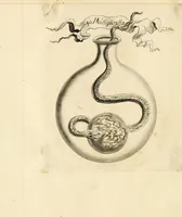 An illustration from Manly Palmer Hall collection of alchemical manuscripts, 1500-1825 (1600)