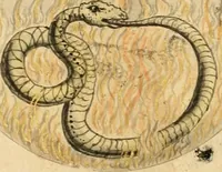 An illustration from Manly Palmer Hall collection of alchemical manuscripts, 1500-1825 (1600)