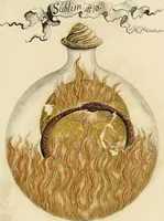 Picture 25 of 50 from Manly Palmer Hall collection of alchemical manuscripts, 1500-1825 (1600), leaf 25