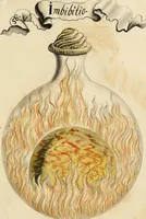 Picture 33 of 50 from Manly Palmer Hall collection of alchemical manuscripts, 1500-1825 (1600), leaf 29