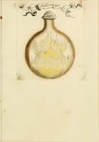 Picture 37 of 50 from Manly Palmer Hall collection of alchemical manuscripts, 1500-1825 (1600), leaf 30