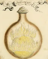 Picture 38 of 50 from Manly Palmer Hall collection of alchemical manuscripts, 1500-1825 (1600), leaf 31