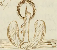 An illustration from Manly Palmer Hall collection of alchemical manuscripts, 1500-1825 (1600)